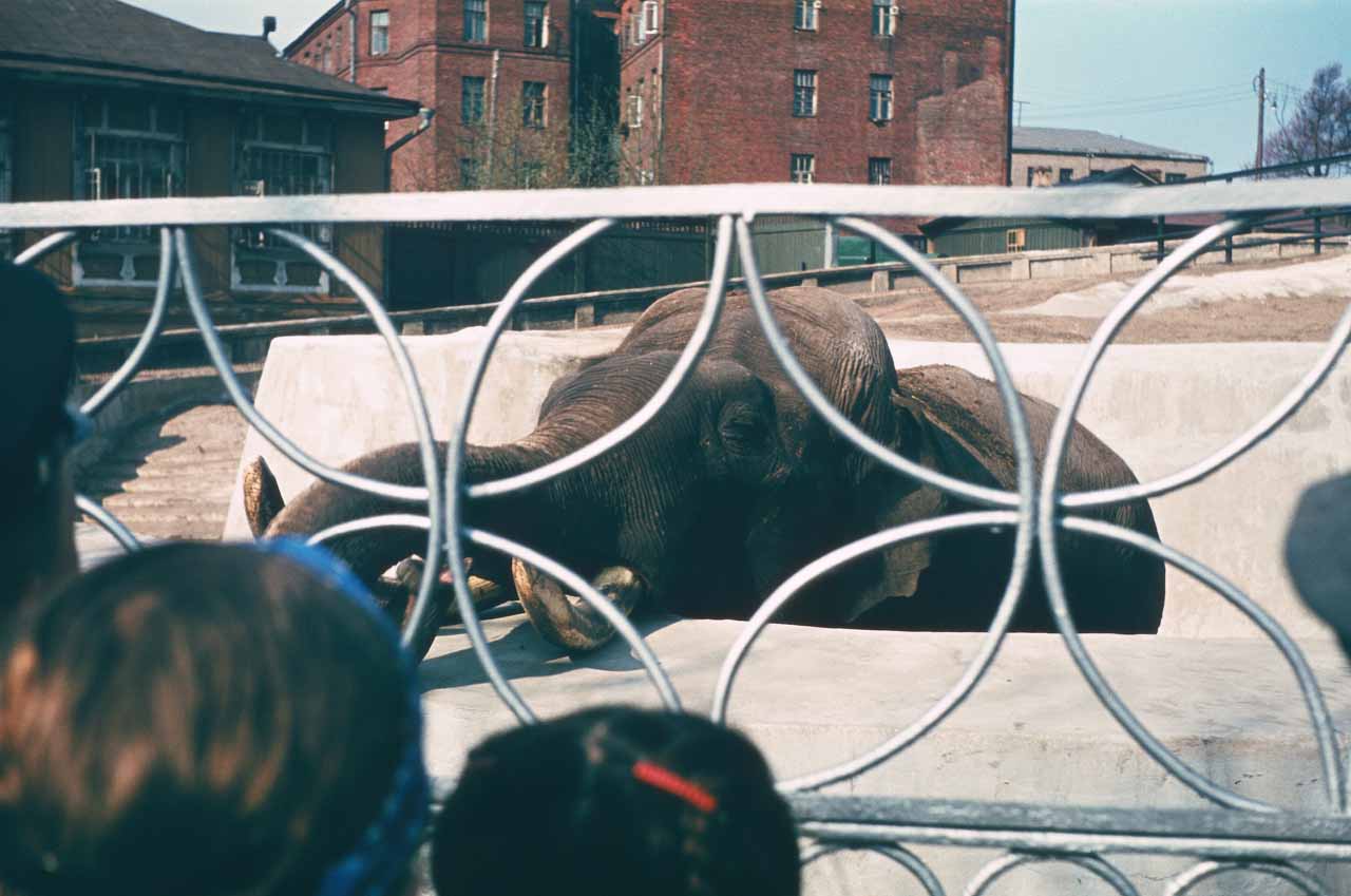 Московський зоопарк